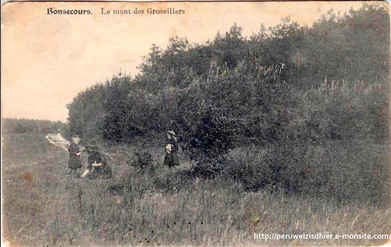 Le Mont des groseilliers (postée en 1924)